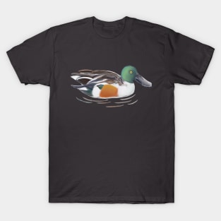 Northern Shoveler Duck Digital Illustration T-Shirt